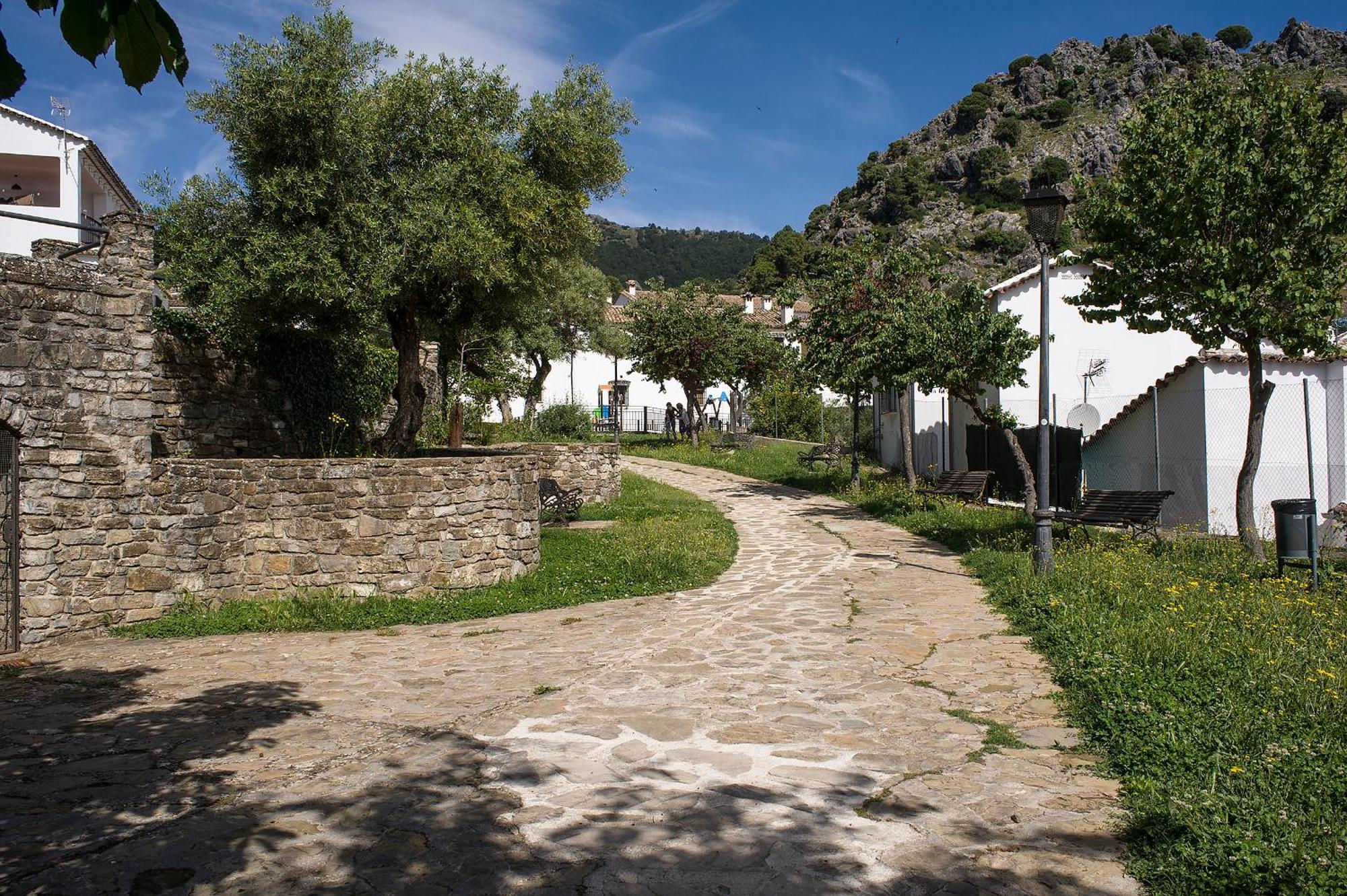 Casa Rural La Callejita Grazalema Eksteriør bilde